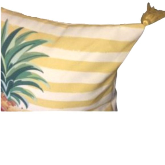 Pineapple Throw Pillow 16  in. - Picture 3 of 3